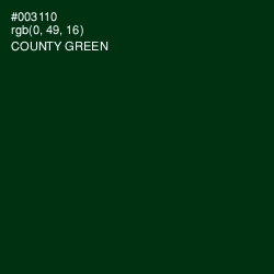 #003110 - County Green Color Image